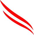 Crowdstrike icon