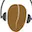 Kaldi Speech Recognition Toolkit icon