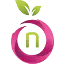 Namefruits icon