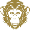 Omneky icon
