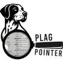 Plagiarism Checker icon