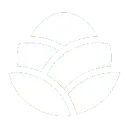 PrayGen icon