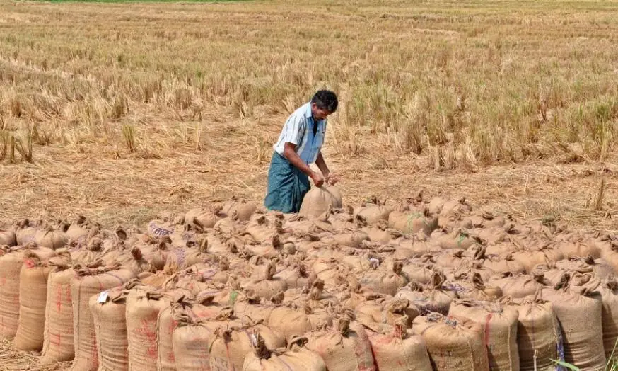 Tamil Nadu Plans 100 New Paddy Procurement Centres With AI, QR
