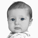 Amelia’s Agent icon