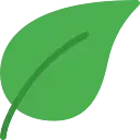 AnkiDecks icon