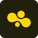 Bee icon