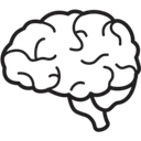 Brain Buddy icon