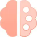 BrainPalette icon