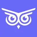 Brandwise AI icon