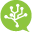 Chat Mapper icon