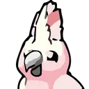 Cockatoo icon