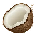 Coconote icon