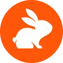 CodeRabbit icon