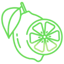 Copylime icon