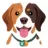 Dog Breed Identifier icon