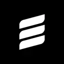Expensiv icon