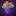 GrapeGPT icon