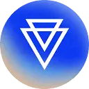 Interview VIP icon