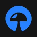 lium icon