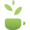 Matcha icon
