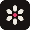 Molyin icon