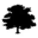 OdysseyGPT icon