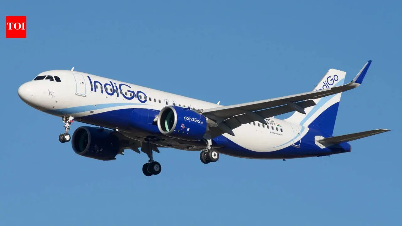 IndiGo Ventures invests in Sarvam to enhance Artificial Intelligence in aviation