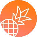 Pine Apple Builder icon