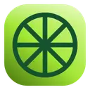Punchylime icon
