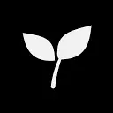 Reel icon