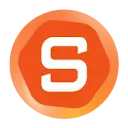 Saner.AI icon