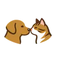 SeeBoop icon