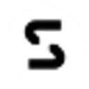 Selectika icon