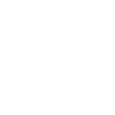 Tasleem icon