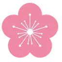 VITA AI icon