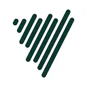 VoiceNotes icon