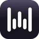 Wispr Flow icon
