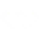 Wondershare icon