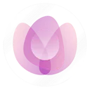 WZRD icon