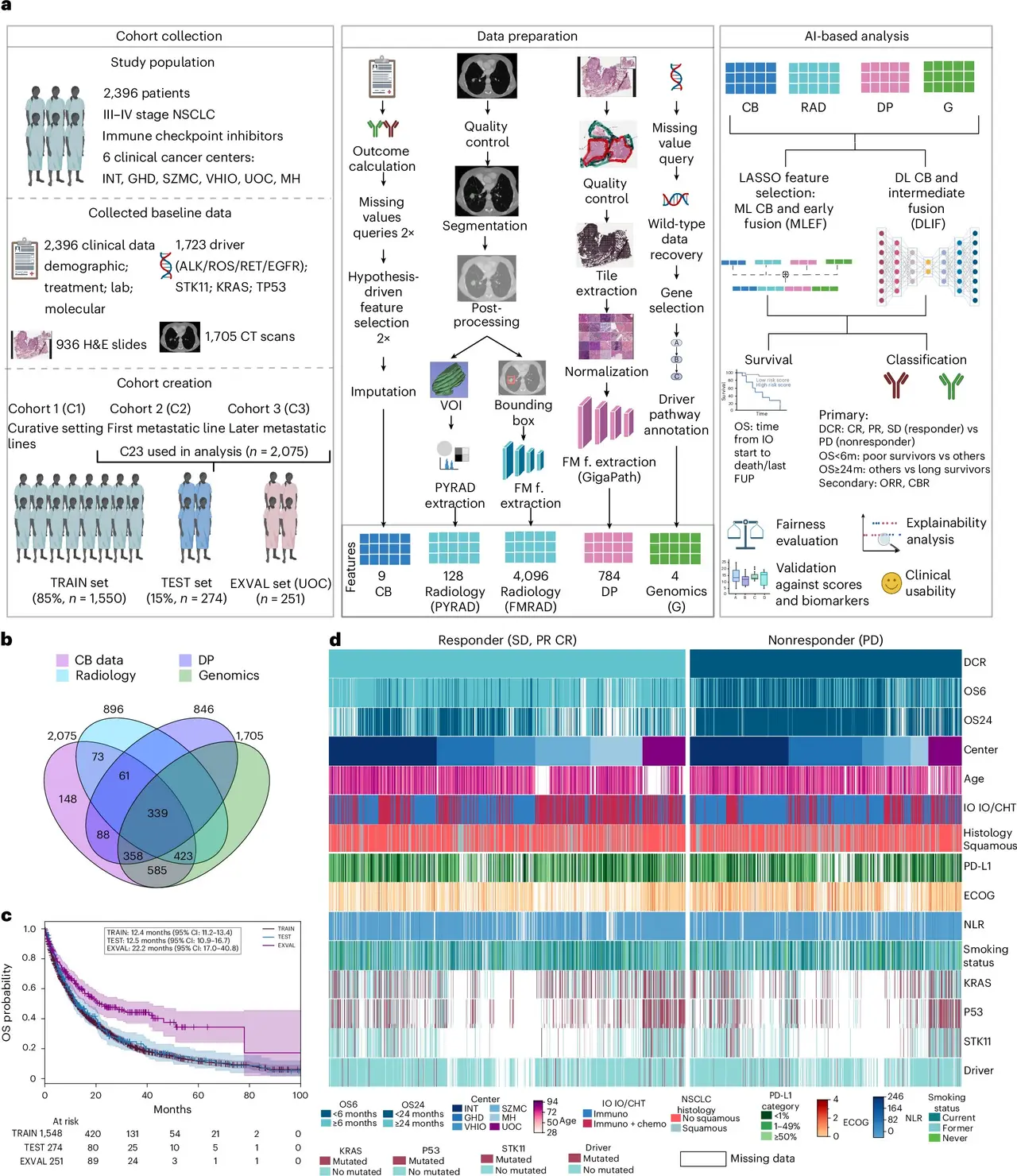 AI tool successfully predicts outcomes of immunotherapy in lung cancer