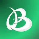 Brandolia icon