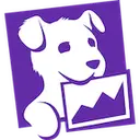 Datadog icon