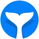 Intempt icon