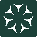 Maisa icon
