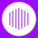 Patrivox icon