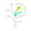Pholem icon