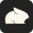 Pika Labs icon