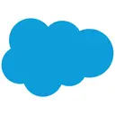 Salesforce icon