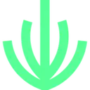 Spruce icon