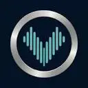 Vowise icon